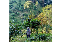 Load image into Gallery viewer, Chiang Rai Black
