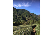 Load image into Gallery viewer, Mountain Jewel