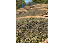 Load image into Gallery viewer, 2022 Old King Pu'er (Sheng Pu'er)