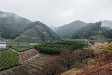 Load image into Gallery viewer, Hanadoki, PARU Reserve (CBF Exclusive)