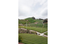 Load image into Gallery viewer, Hanadoki, PARU Reserve (CBF Exclusive)