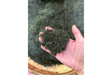 Load image into Gallery viewer, Yamashita's Gyokuro, PARU Reserve