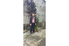 Load image into Gallery viewer, Phin Ho Forest, PARU Reserve