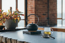 Load image into Gallery viewer, Balmuda MoonKettle (Electric Kettle) - Black