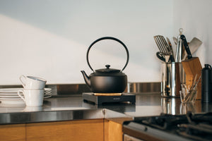 Balmuda MoonKettle (Electric Kettle) - Black