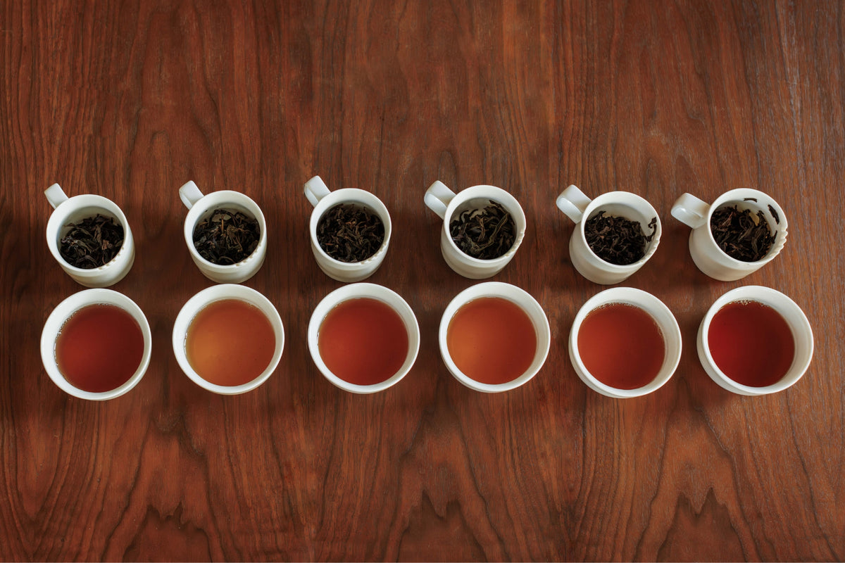 Phoenix Mountain Tea Collection (Spring 2026) | PARU Specialty Tea in ...