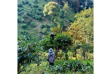 Load image into Gallery viewer, Chiang Rai White