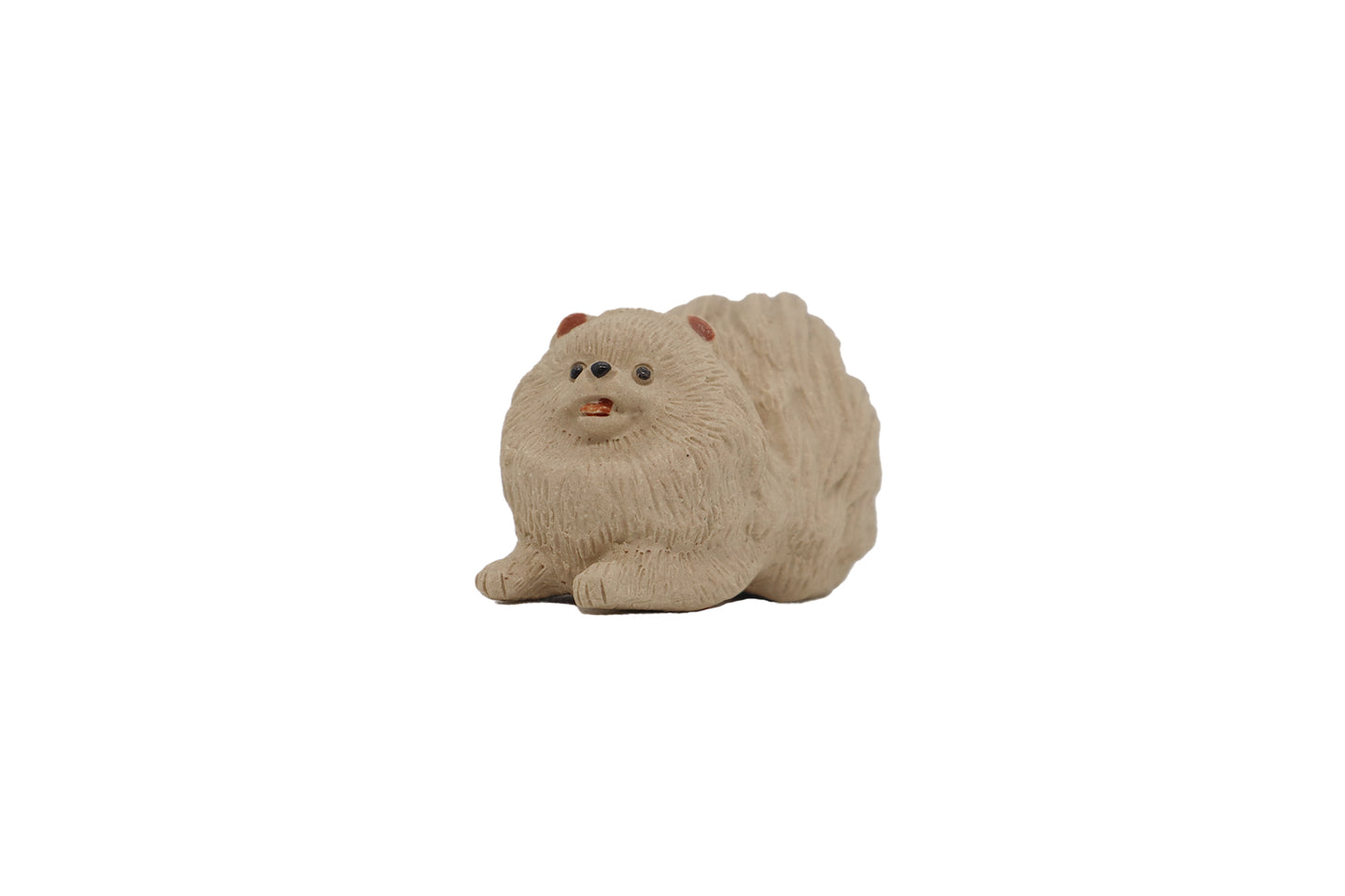 Pomeranian Prince (Miniature Duanni Tea Pet)