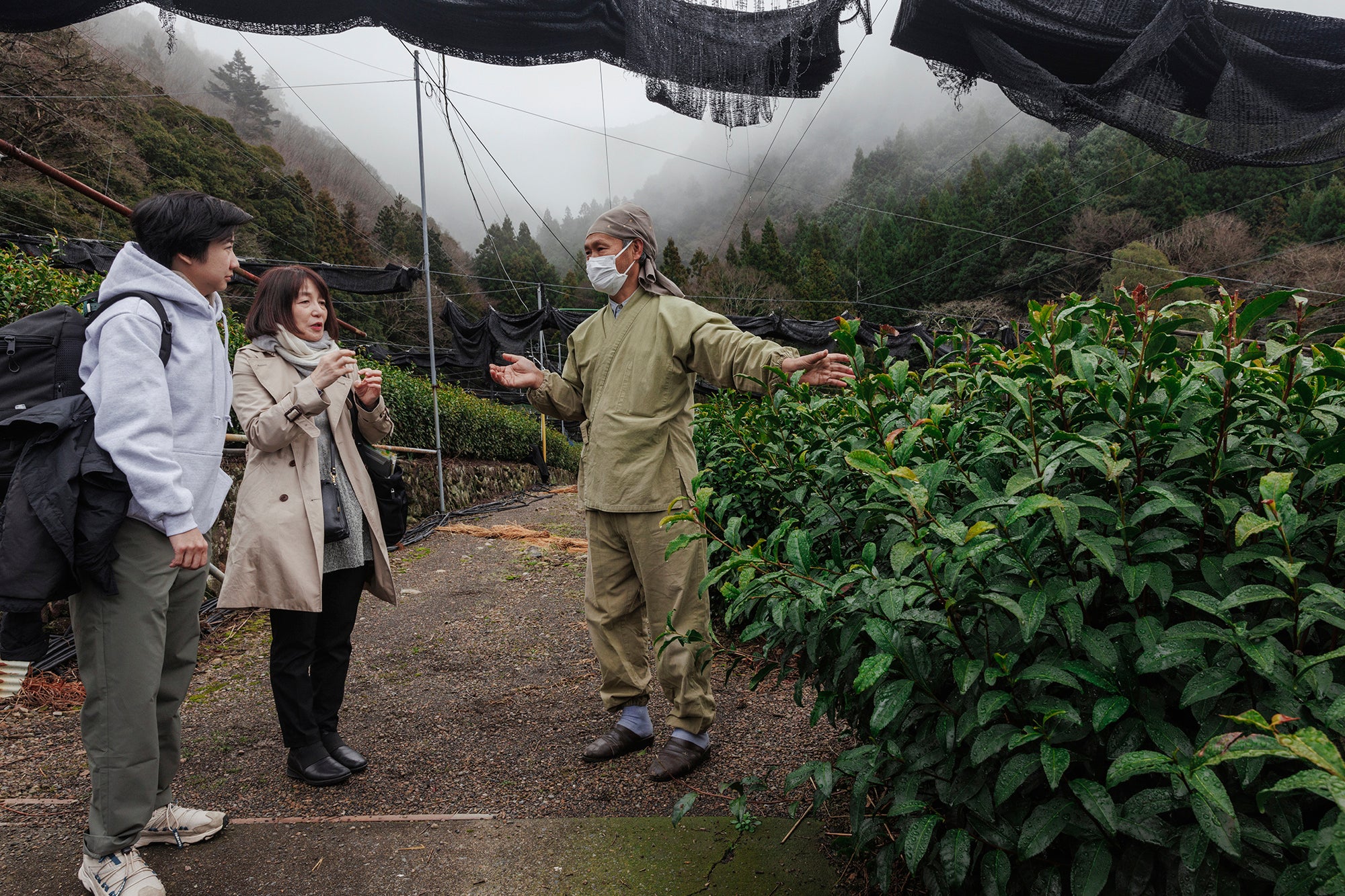 The PARU-Suruga Tour: First Sips | PARU Specialty Tea in San