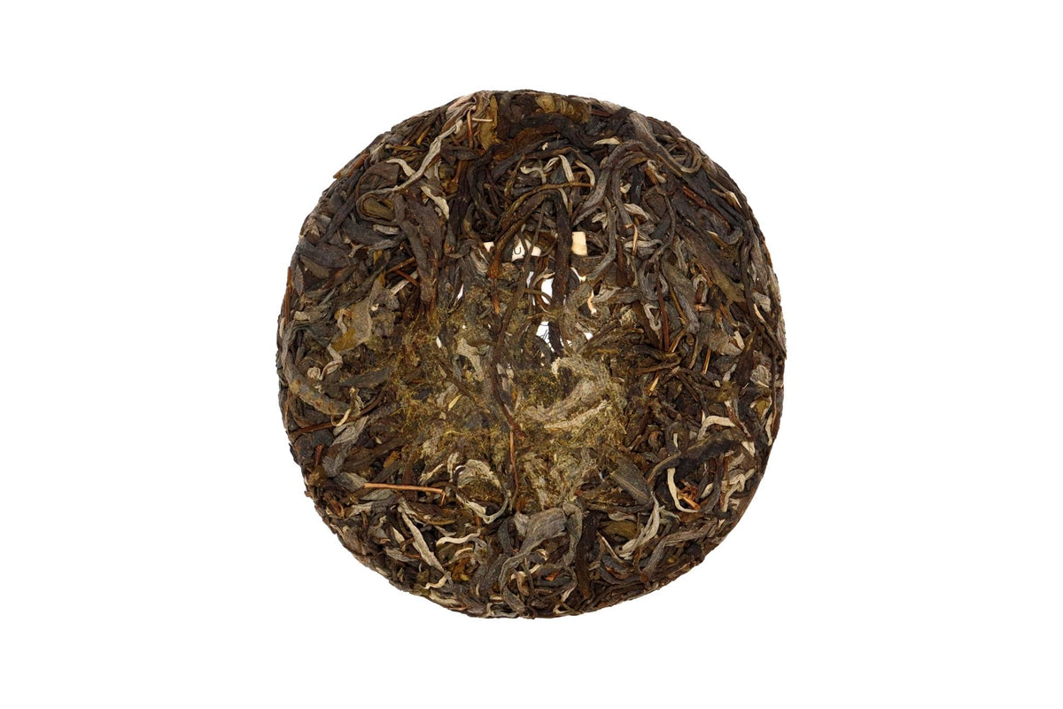 2022 Wild Sheng Pu’er Cake | PARU Specialty Tea in San Diego