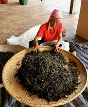 Load image into Gallery viewer, Thai farmer drying Assam leaves in Chiang Rai